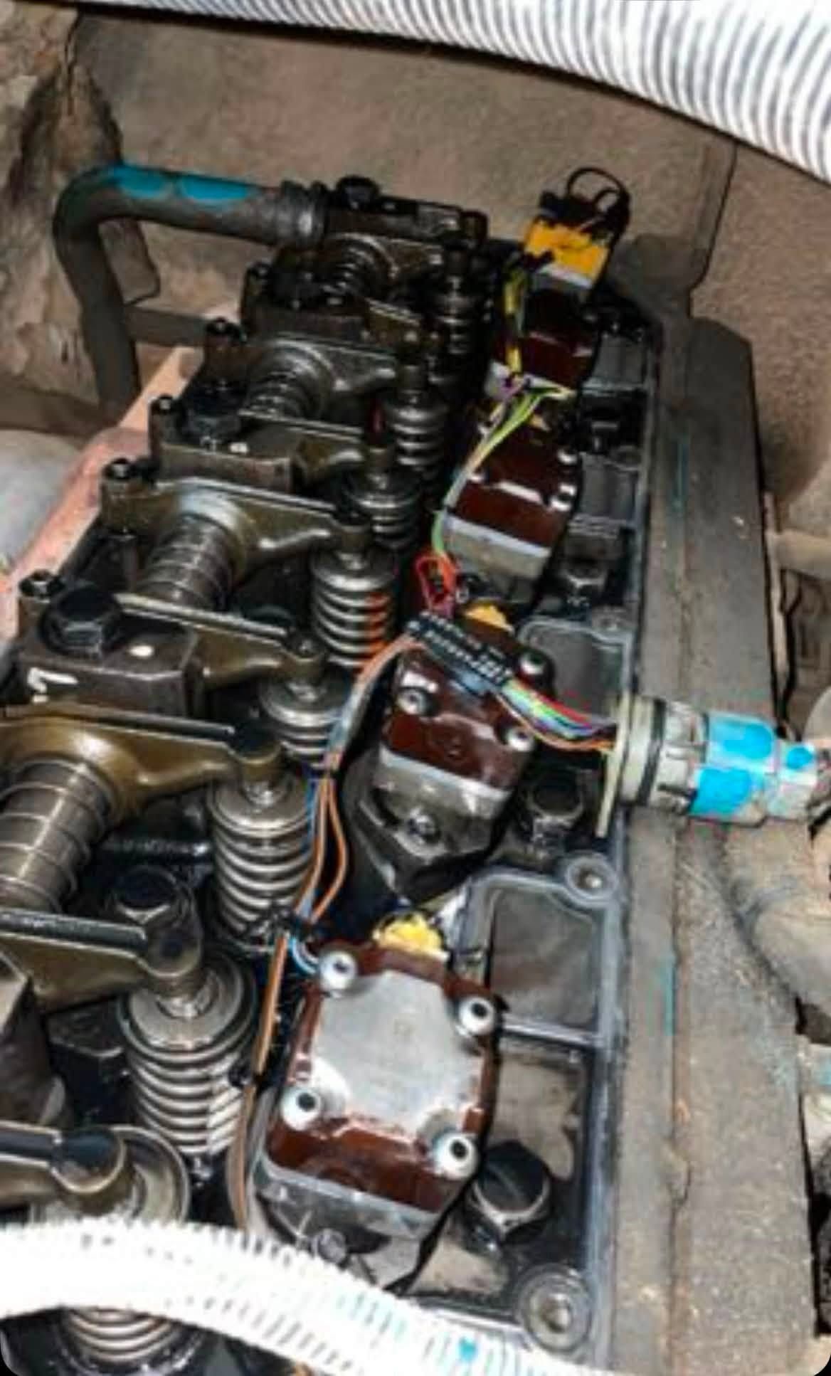 763239669 122105964087404890 8719634212946045511 n